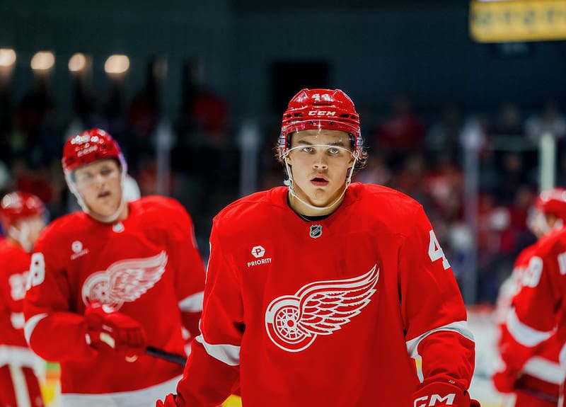Axel Sandin Pellikka, red wings