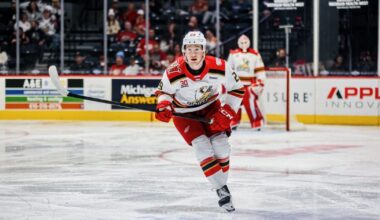 Grand Rapids Griffins | Detroit Recalls Nate Danielson from Grand…