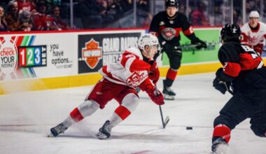 Grand Rapids Griffins | Checkmate