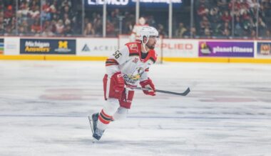 Grand Rapids Griffins | Detroit Recalls Erik Gustafsson from Griffins