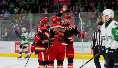 Grand Rapids Griffins | Dancing Past the Stars