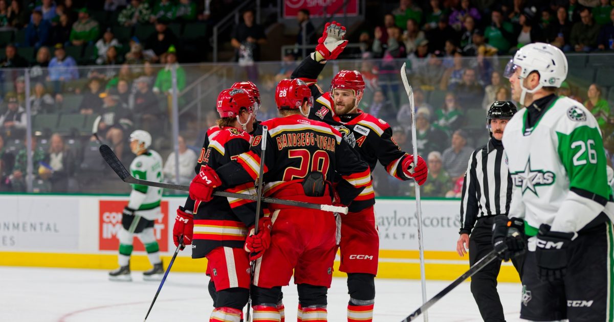 Grand Rapids Griffins | Dancing Past the Stars