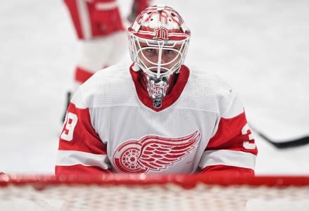 Apr 2, 2023; Toronto, Ontario, CAN; Detroit Red Wings goalie Alex Nedeljkovic (39) warms up before the game against the Toronto Maple Leafs at Scotiabank Arena. Mandatory Credit: Dan Hamilton-Imagn Images Apr 2, 2023; Toronto, Ontario, CAN; Detroit Red Wings goalie Alex Nedeljkovic (39) warms up before the game against the Toronto Maple Leafs at Scotiabank Arena. Mandatory Credit: Dan Hamilton-Imagn Images