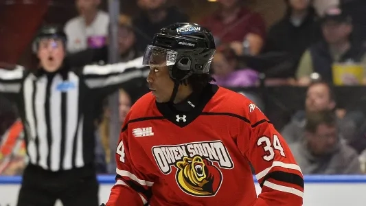 Toronto Maple Leafs prospect Harry Nansi in action for the Owen Sound Attack.