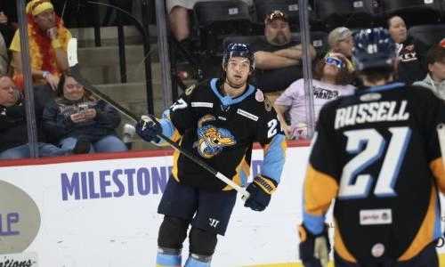 Nolan Moyle in action with the Toledo Walleye