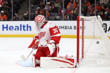 Oct 31, 2025; Anaheim, California, USA; Detroit Red Wings goaltender John Gibson (36) gives up a goal during the second period against the Anaheim Ducks at Honda Center.
