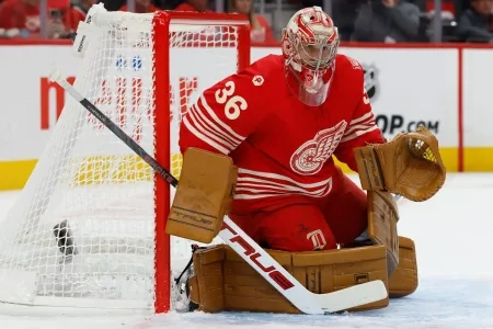 John Gibson of the Detroit Red Wings.