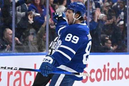 Nov 8, 2025; Toronto, Ontario, CAN; Toronto Maple Leafs forward Nick Robertson (89) celebrates after scoring a goal against the Boston Bruins in the first period at Scotiabank Arena. Mandatory Credit: Dan Hamilton-Imagn Images