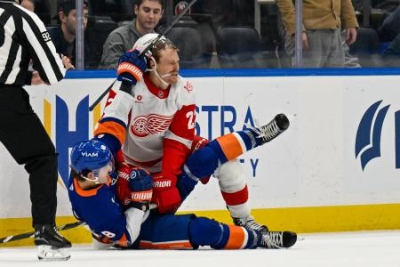 Oct 23, 2025; Elmont, New York, USA; New York Islanders defenseman Matthew Schaefer (48) wrestles with Detroit Red Wings center Mason Appleton (22) during the third period at UBS Arena.