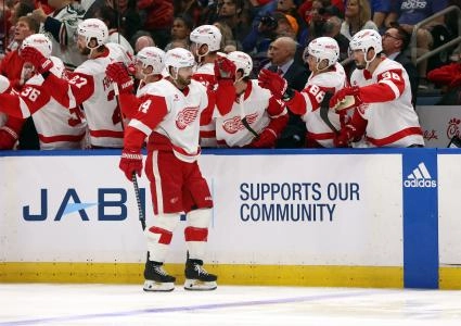 Apr 1, 2024; Tampa, Florida, USA; Detroit Red Wings center Robby Fabbri (14) is congratulated after he scored a goal against the Tampa Bay Lightning during the third period at Amalie Arena.