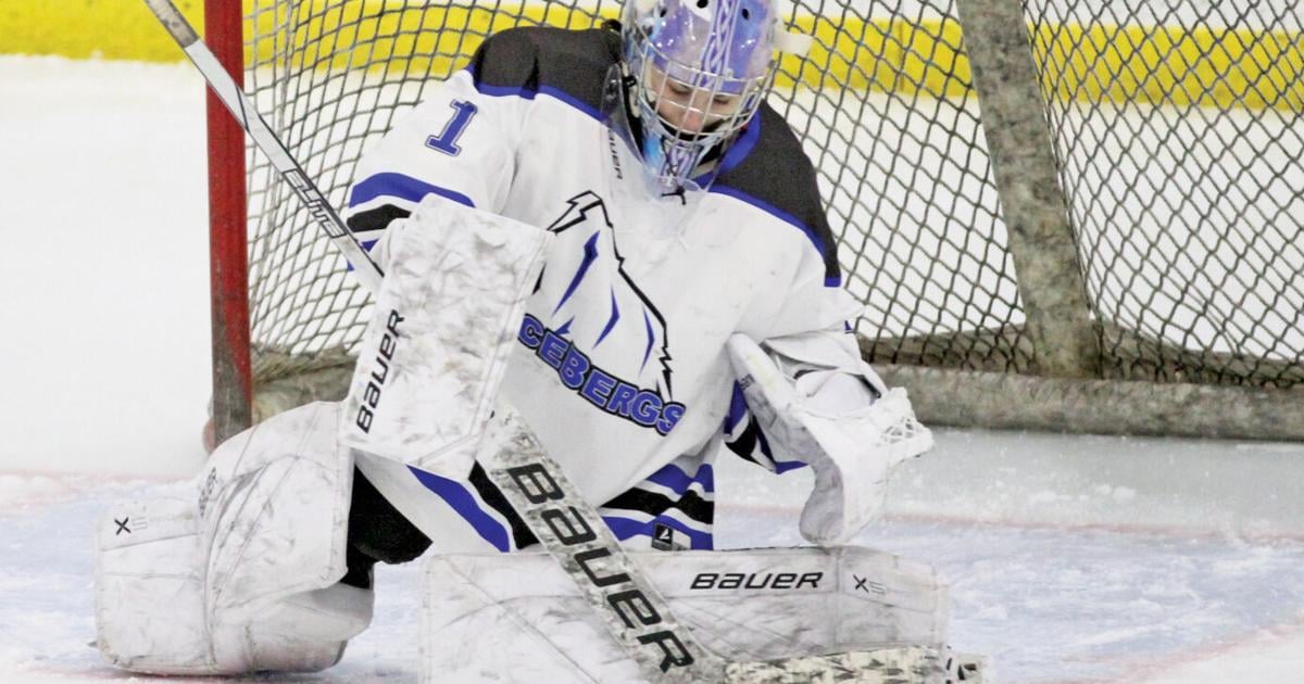 Stoughton Icebergs girls hockey co-op aims for Badger Conference jump | Sports