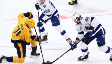 Predators' Matthew Wood a rare difference-making rookie | Hockey