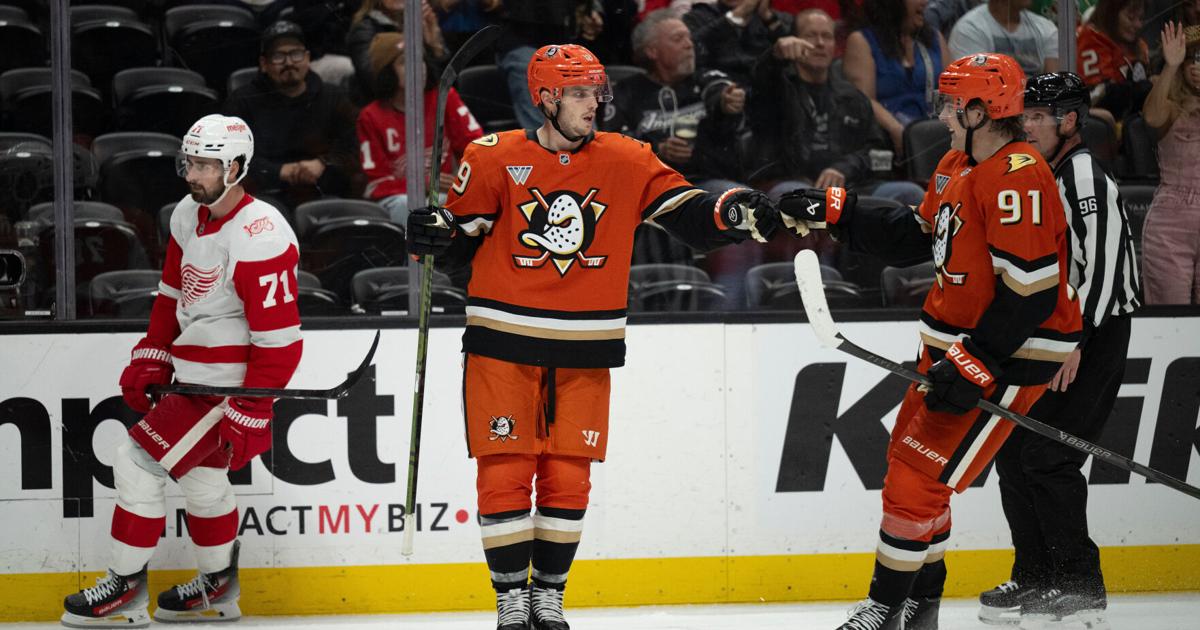Troy Terry scores twice as Ducks beat Red Wings 5-2 | Sports