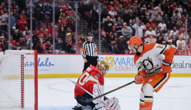 Panthers vs. Ducks Prediction & Picks - Nov. 4