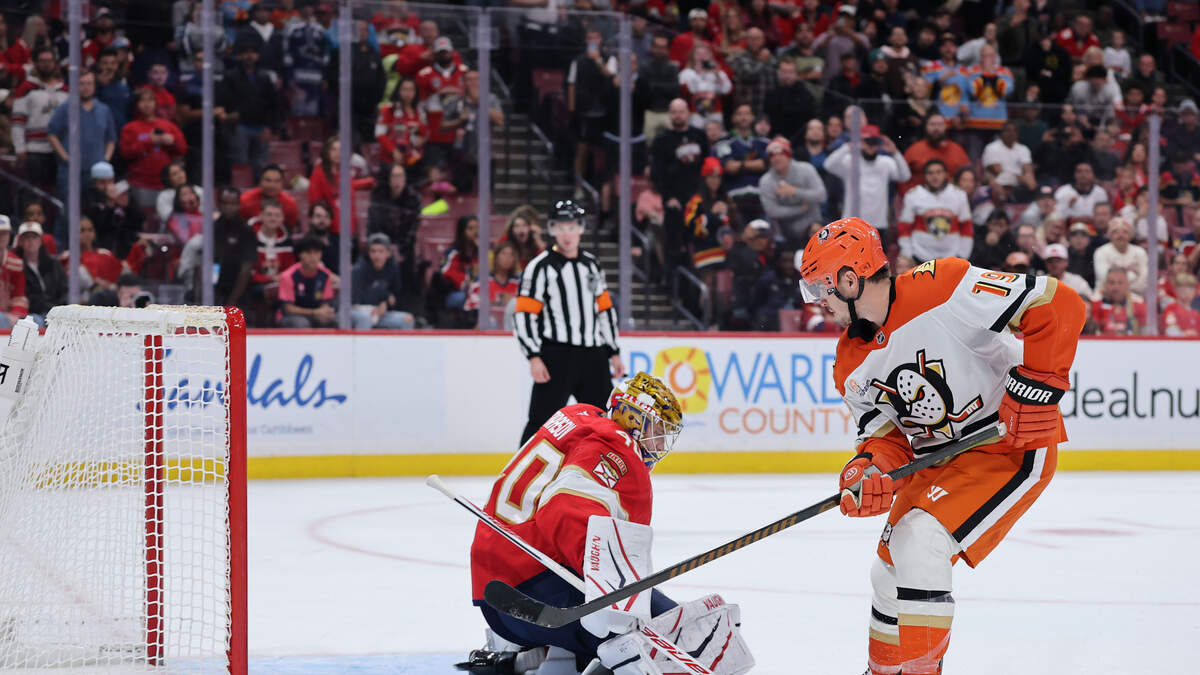 Panthers vs. Ducks Prediction & Picks - Nov. 4