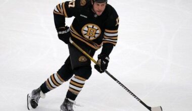 NHL veteran Milan Lucic joins Blues’ AHL affiliate on professional tryout | National Sports