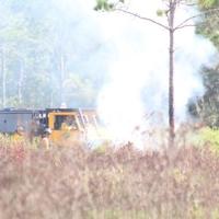 Fire helps panthers and other animals | Highlands News-Sun