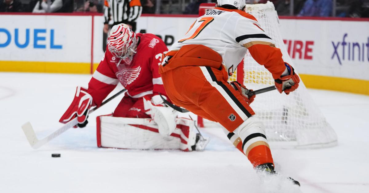 Alex DeBrincat scores twice, Red Wings beat Ducks 6-3 to end 3-game slide | Sports