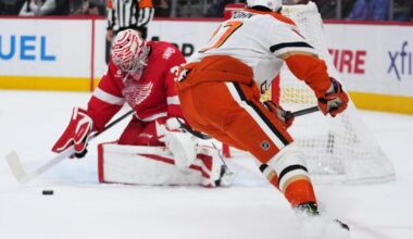 Alex DeBrincat scores twice, Red Wings beat Ducks 6-3 to end 3-game slide |