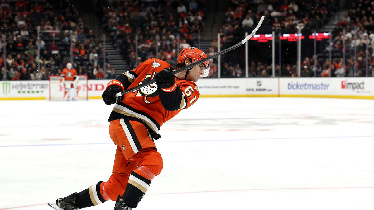 Mammoth vs. Ducks Prediction & Picks - Nov. 17