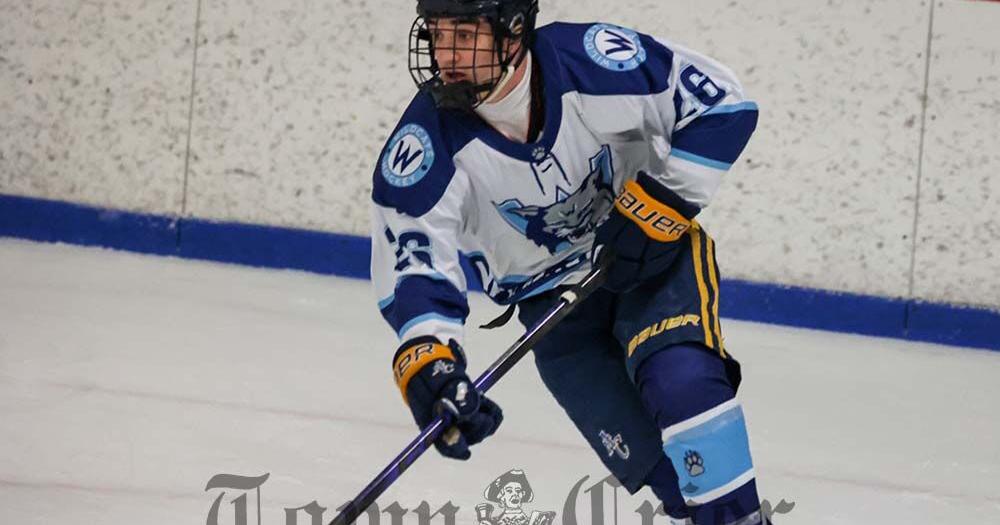 Youth Hockey: Midget AAA team falls at state tournament | Sports