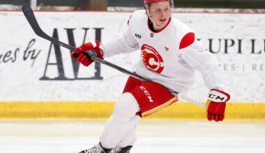 Flames prospect Henry Mews out for the season