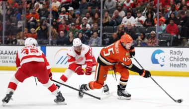 Detroit Red Wings can't fly with Anaheim Ducks in 5-2 loss