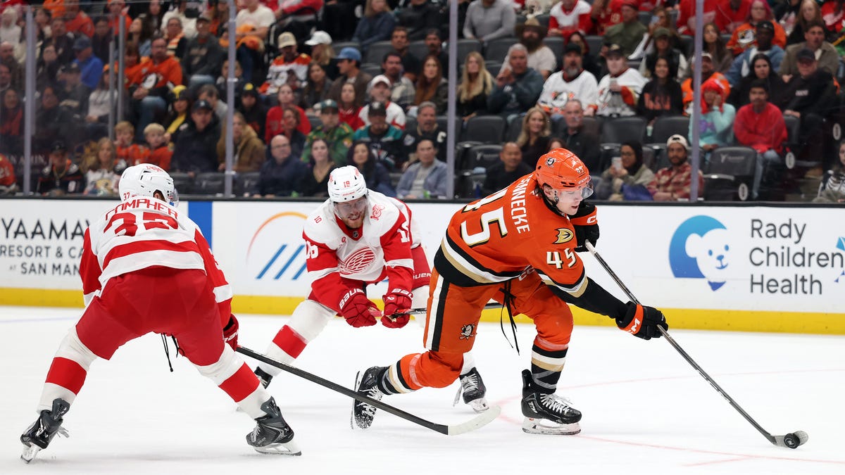Detroit Red Wings can't fly with Anaheim Ducks in 5-2 loss