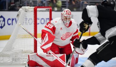 Red Wings at Sharks odds, picks and predictions
