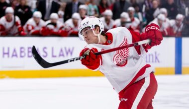 Axel Sandin Pellikka's puck skills a huge asset for Detroit Red Wings