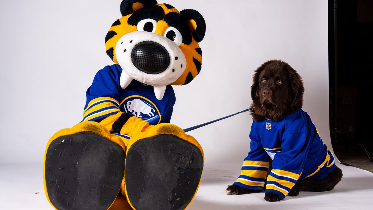 Buffalo Sabres introduce new team puppy honoring fallen soldier