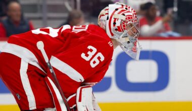 Goalie leaves during Detroit Red Wings victory