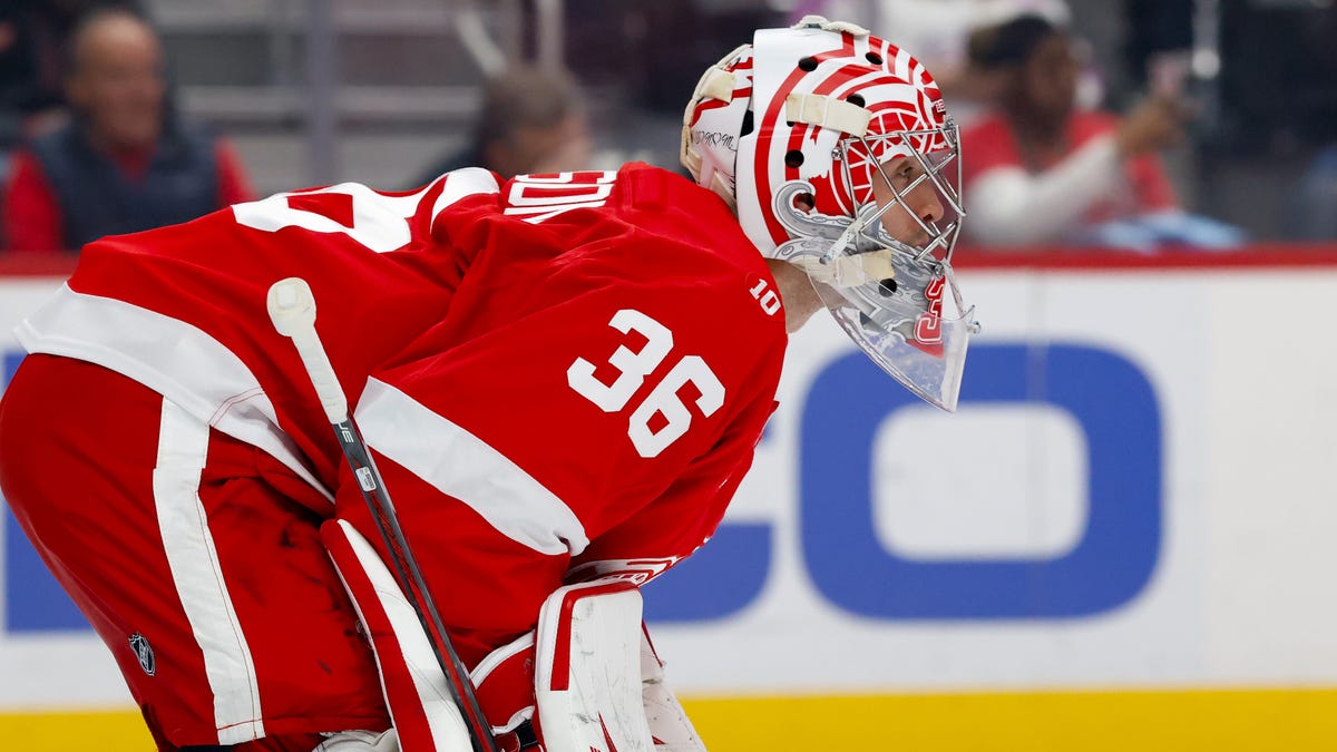 Goalie leaves during Detroit Red Wings victory