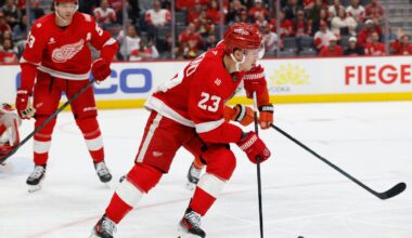Detroit Red Wings down Anaheim Ducks to snap 3-game skid
