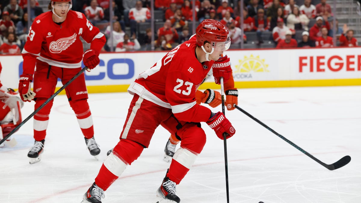 Detroit Red Wings down Anaheim Ducks to snap 3-game skid