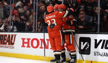 Minnesota Wild vs. Anaheim Ducks odds, tips and betting trends