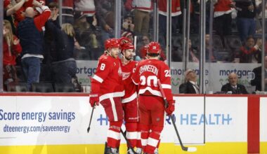 Detroit Red Wings vs. New York Islanders odds, tips and betting trends