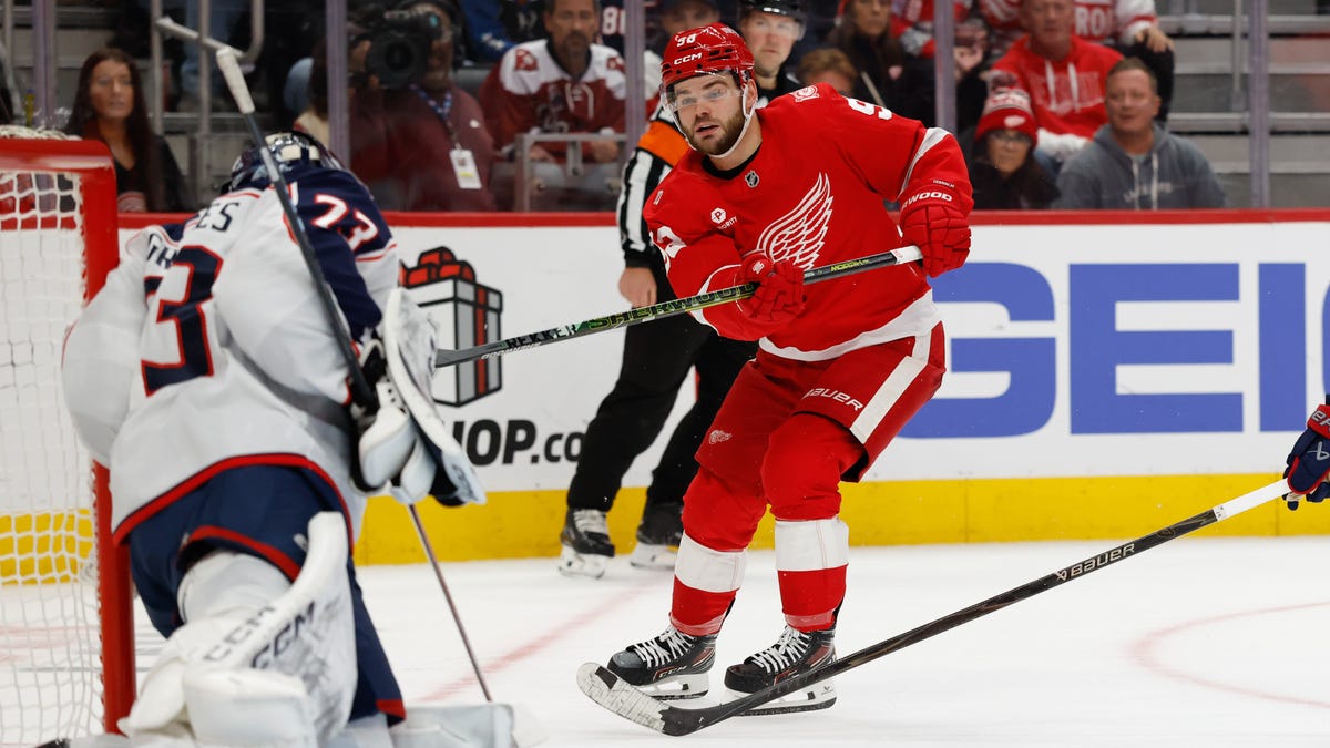 Columbus Blue Jackets vs Detroit Red Wings: Takeaways from NHL game