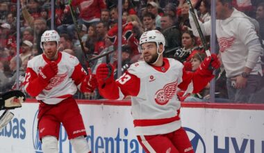 Detroit Red Wings vs. Nashville Predators odds, tips and betting trends