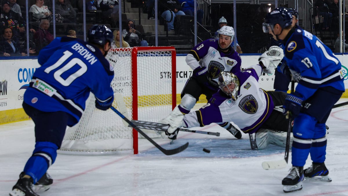 Jacksonville Icemen-Greensboro Gargoyles hockey score
