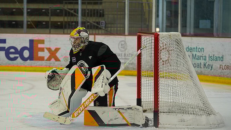 Pittsburgh Penguins, Sergei Murashov