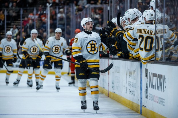 Boston Bruins right wing Matěj Blümel celebrates with the bench...