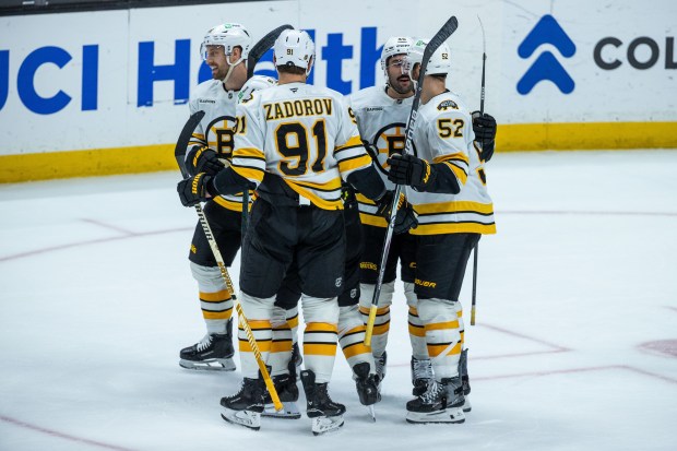 The Boston Bruins celebrate after scoring a goal during the...