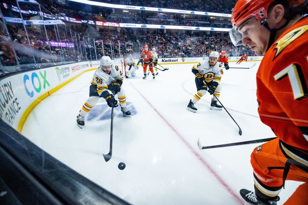 Boston Bruins defenseman Andrew Peeke, left, and Ducks defenseman Radko...