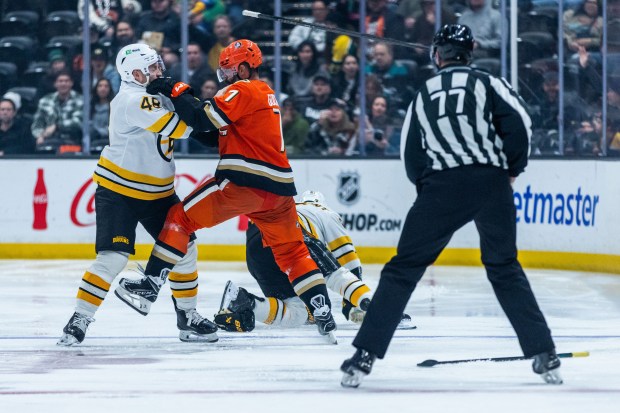 Boston Bruins left wing Jeffrey Viel, left, and Ducks defenseman...