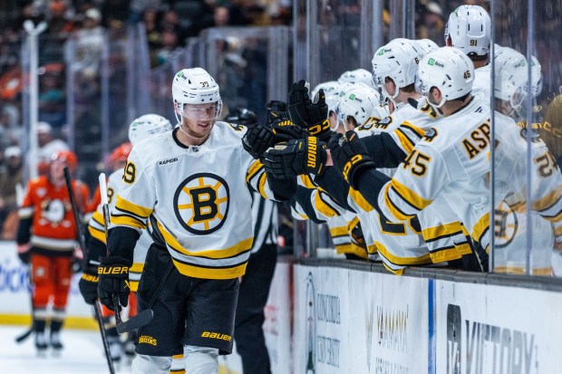 Boston Bruins center Morgan Geekie (39) celebrates with the bench...