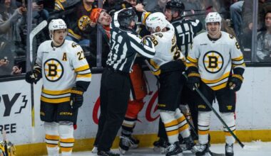 boston-bruins