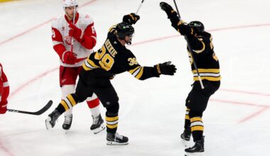 Bruins pivots Morgan Geekie (No. 39) and Alex Steeves (No. 21) celebrate Geekie's second-period goal, the first of his two on the night, that broke a scoreless stalemate against the Red Wings in a 3-2 shootout win Saturday night at TD Garden.