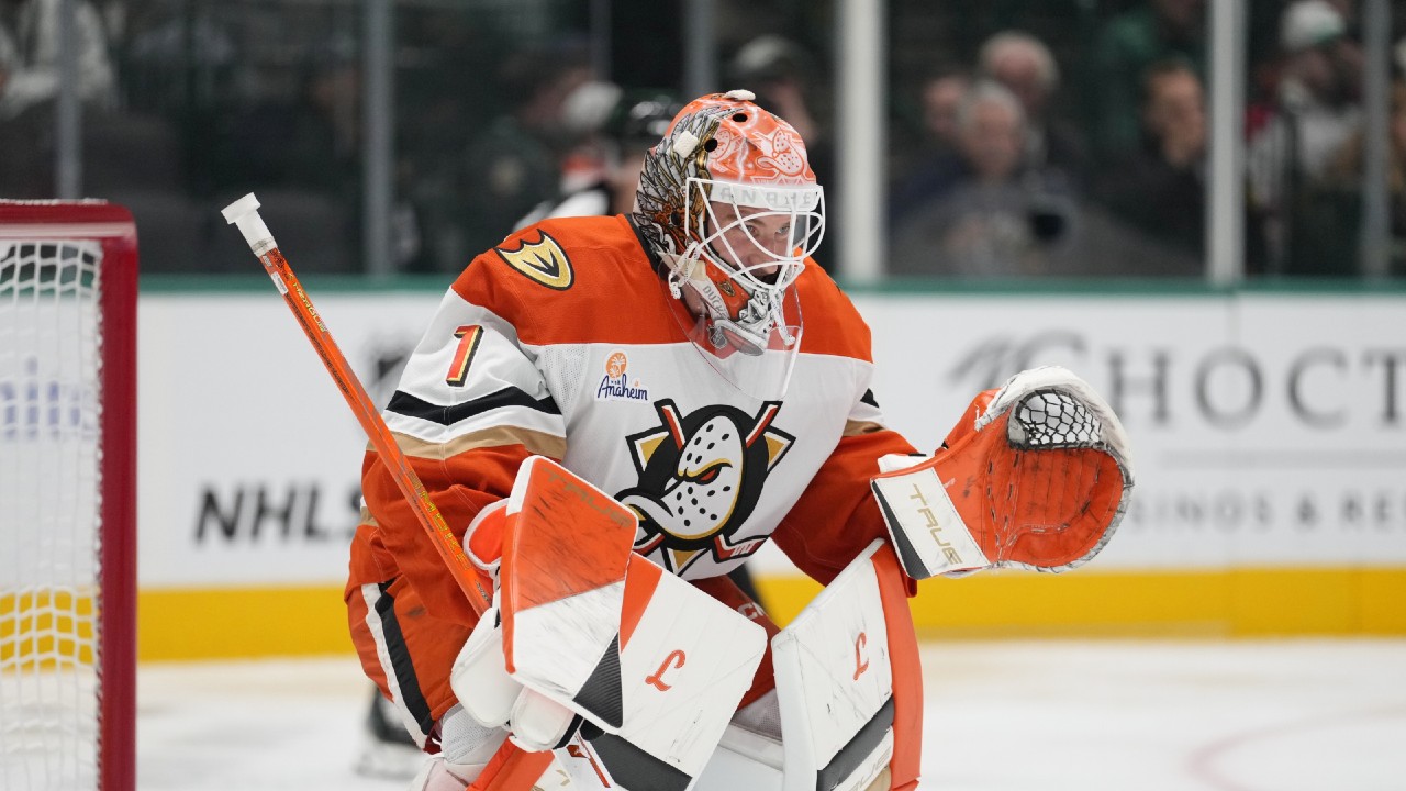 Ducks' Lukas Dostal day-to-day with upper-body injury