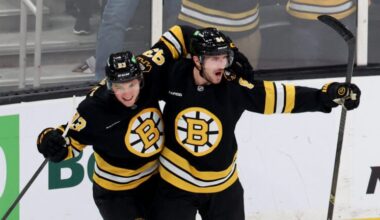 Boston Bruins center Fraser Minten, left, and Boston Bruins left wing Tanner Jeannot, right, celebrate after Jeannot's goal during the second period of an NHL hockey game against the Chicago Blackhawks, Thursday, Oct. 9, 2025, in Boston.